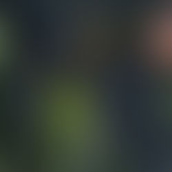 [오픈넷03] 목포MBC | 우박 쏟아져도 기록 없다..기상청 '관측 공백'