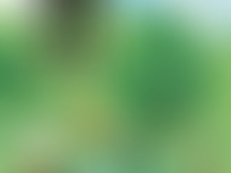 국내 첫 고교 ‘동물복지’ 교과서 승인…생명존중 교육, 정규 교과과정으로 