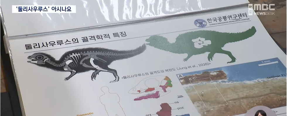[오픈넷03] 목포MBC | 1억 년 잠 깬 '둘리사우루스'..신안서 찾은 아기 공룡
