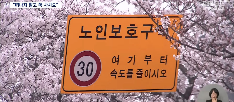 영암군 노인보호구역 실버타운 모색_edited.jpg