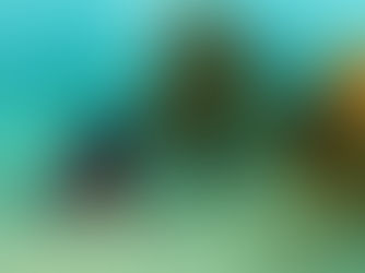 제종길의 끝장난 바다 | ③ 블루카본, 블루이코노미를 키우려면 블루솔루션