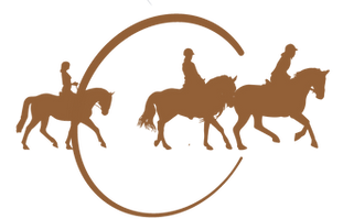 Pictos Baroudeur.png