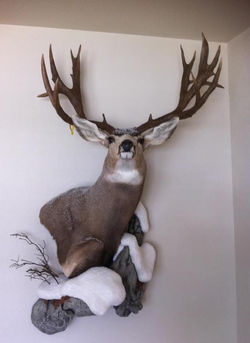 Wall Pedistal upright right turn