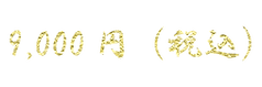 税込9000円.png