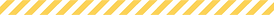 ライン(黄).png