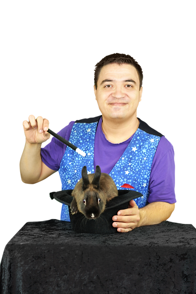 mr wiz rabbit in the hat holding magic w