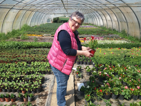 Jardinage (dé)confiné : les conseils de Martine