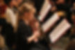 gallery_large_aIMG_0832