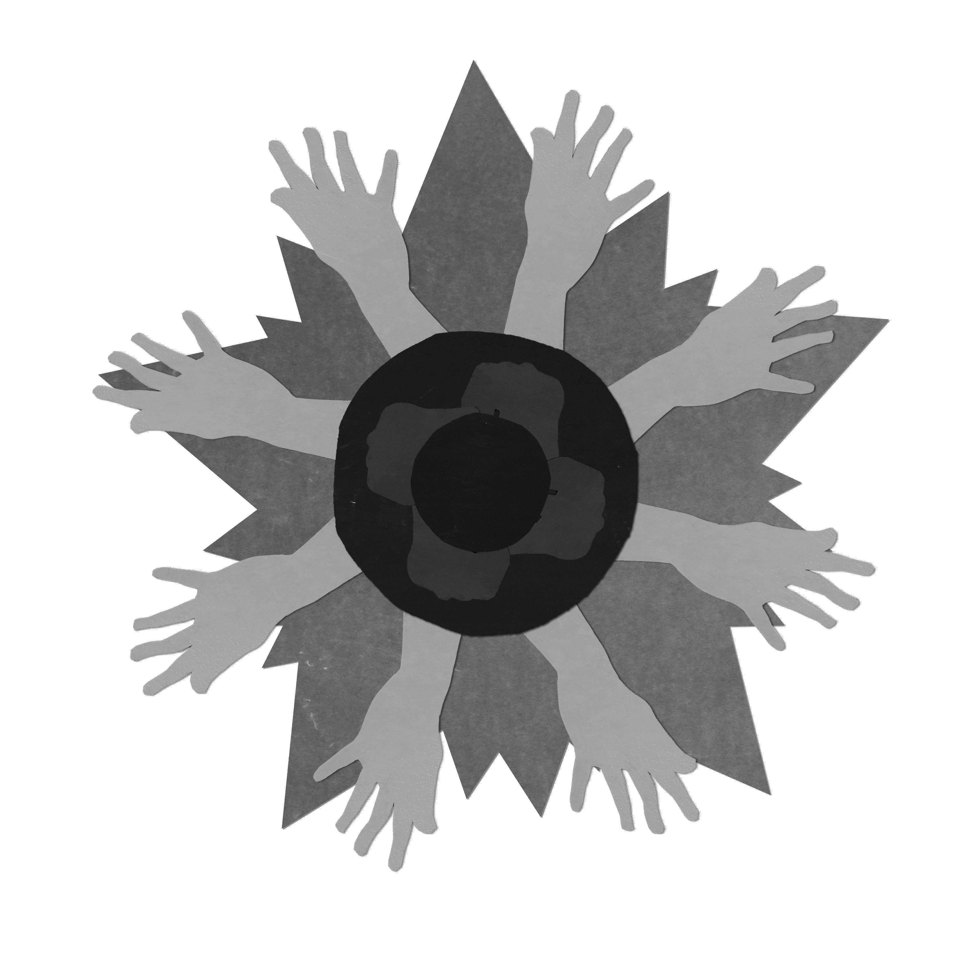 iris-ezgif.com-optimize.gif