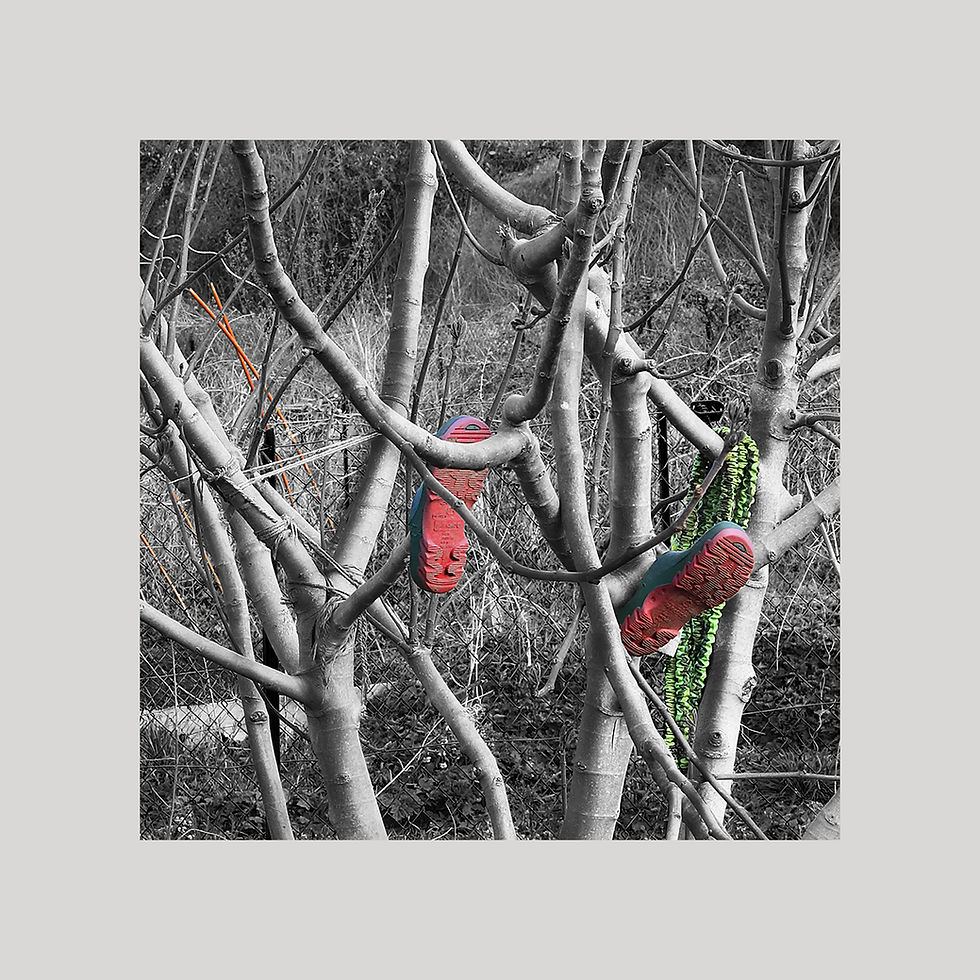 L'arbre aux sabots