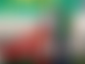 Natal Encantado no Instituto Beneficente Áurea Faria (IBAF)