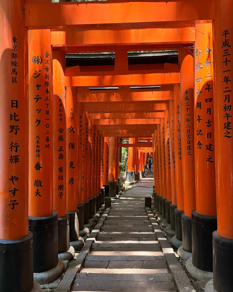 Where to Stay in Kyoto: My Favorite Areas & Where We Stayed