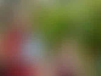 Fête de la musique et du quartier 2025 , AFB photo©CTF