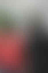 Fête de la musique et du quartier 2025 , AFB photo©CTF