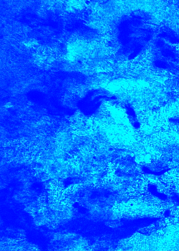 Espace Rituels, méditation