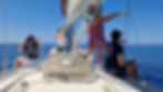 Expédition Scientifique en mer Ligure (L2)