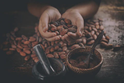 cérémonie du Cacao, Potentiaile