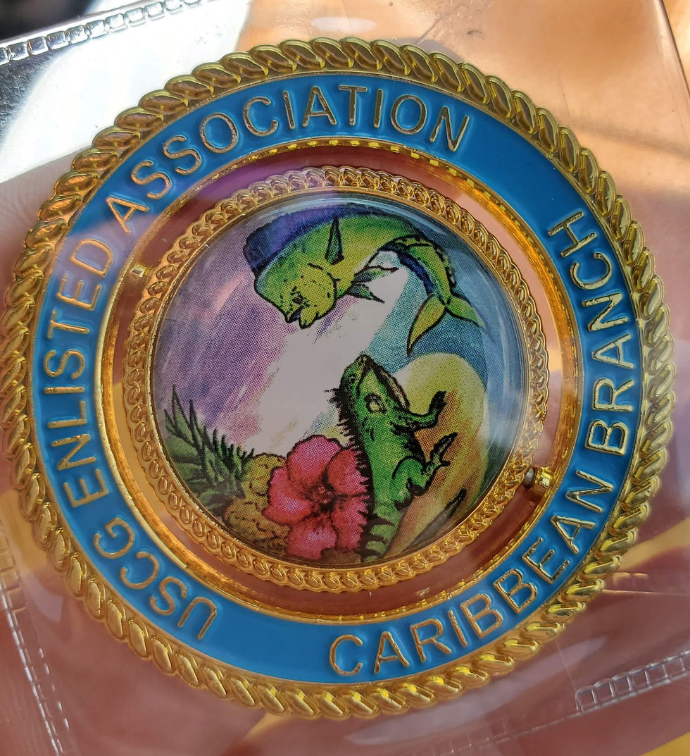 Challenge Coin