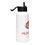 Thumbnail: Stainless steel water bottle with a straw lid