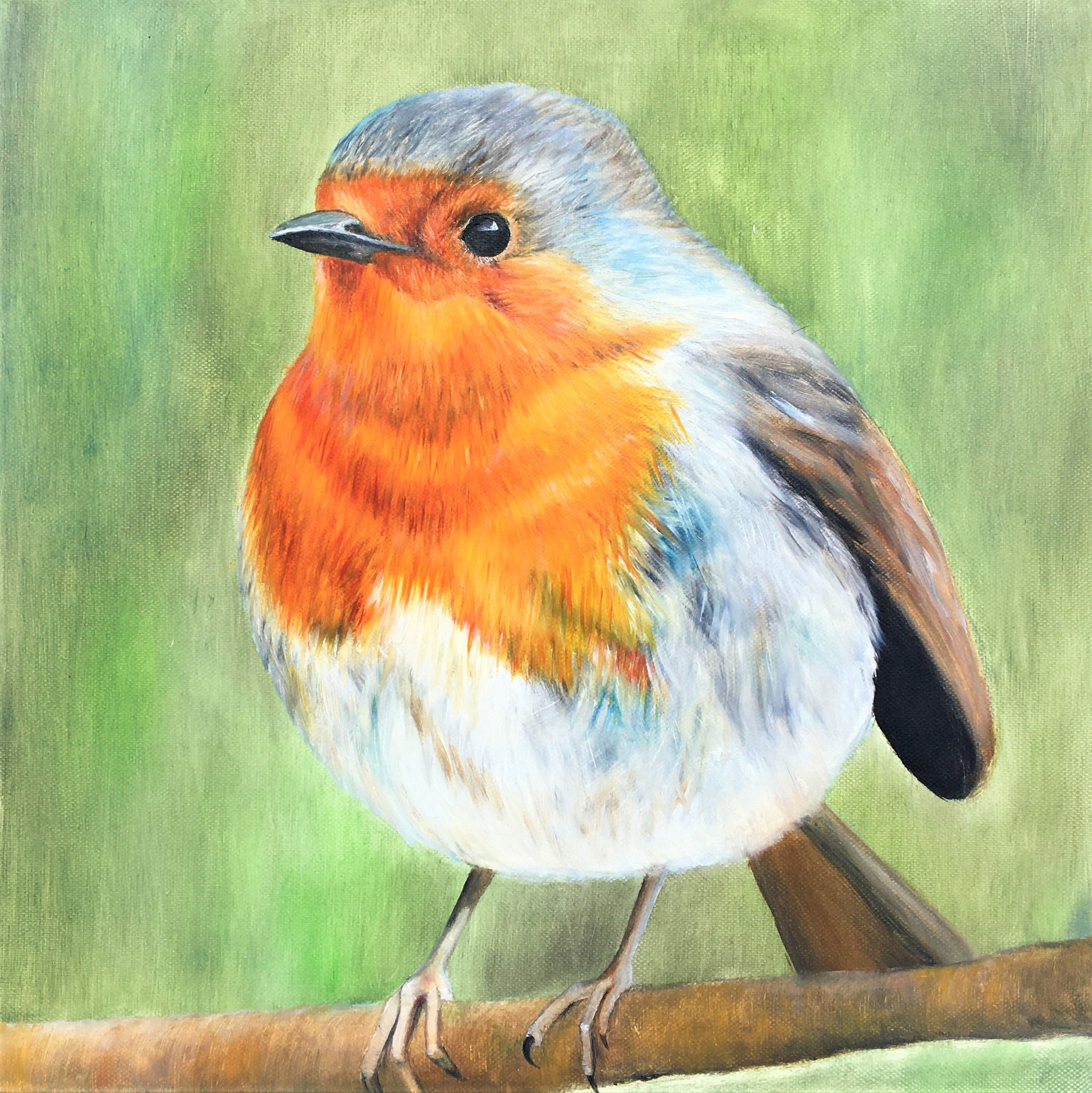 A Sevenoaks Robin