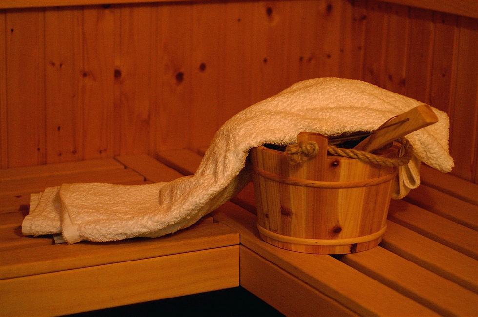 Sauna Seco individual
