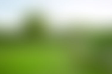 كيف أروح منتزه الردف بالطائف؟ 🌳🌺