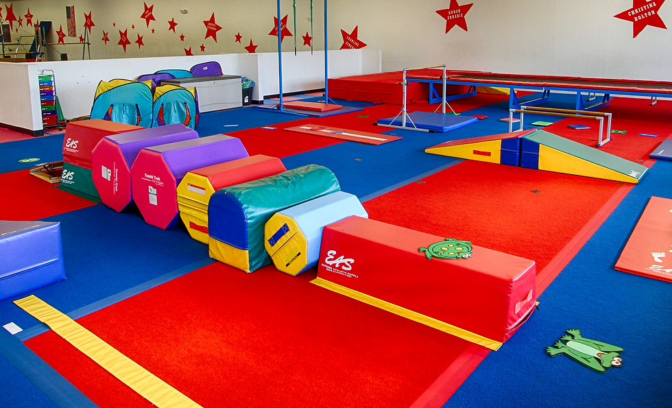 SIS snyder Gymnastics Liability Insurance United States