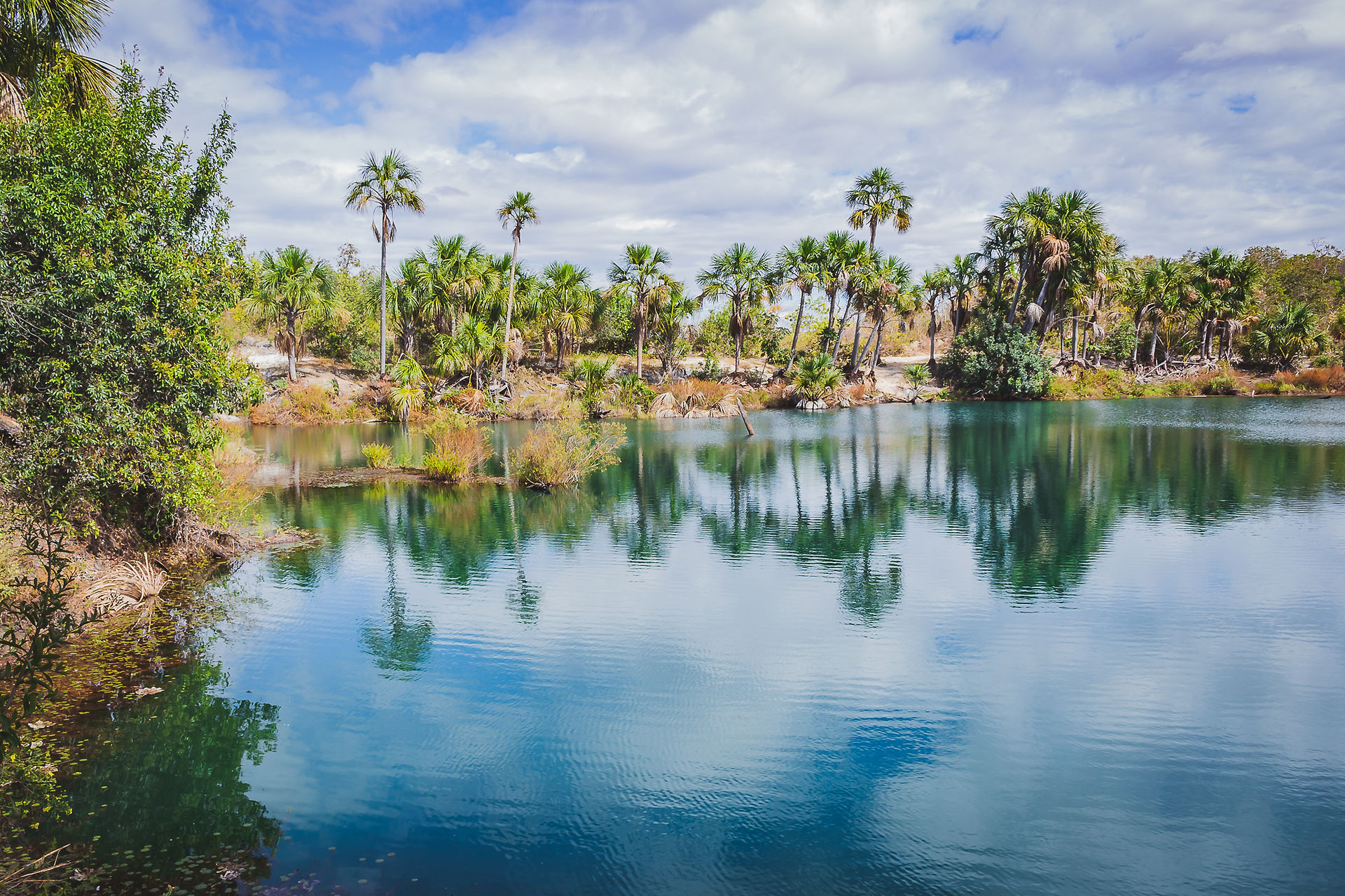 Vista da Lagoa Feia em Coração de Jesus, MG. A água em tom esverdeado serve de espelho d'água e refletem os coqueiros que contornam a lagoa. Foto de Sandra Doyama do VK Guias Digitais Interativos