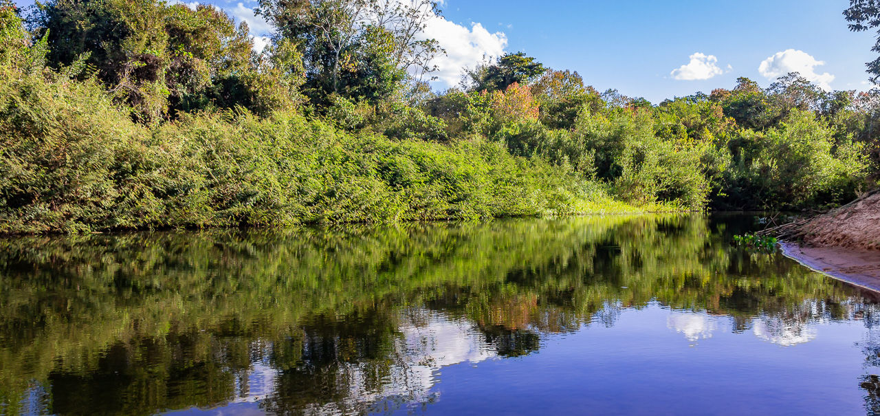 Rio Pandeiros - Januária
