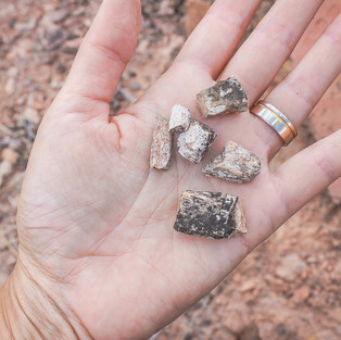 A mãode Sandra Doyama segurando alguns fragmentos de fósseis de dinossauros encontrados no sítio paleontológico de Coração de Jesus. Foto de Cristiano Cazarotto do VK Guias Digitais Interativos