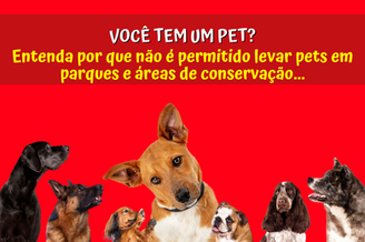 Saiba por que não é permitido levar pets em parques e áreas de conservação