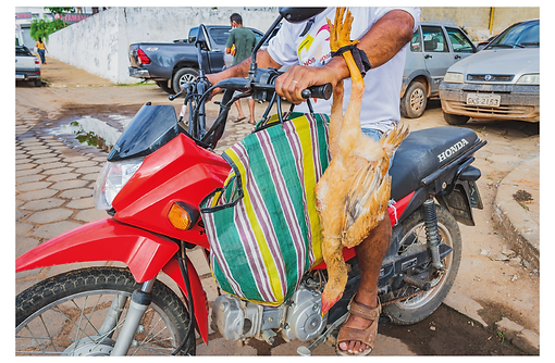 Um senhor está saindo do Mercado Municipal em sua moto vermelha. No guidão esquerdo ele carrega uma sacola de feira listrada. No braço esquerdo está pendurada uma galinha marrom de cabeça para baixo e amarrada pelos pés.
