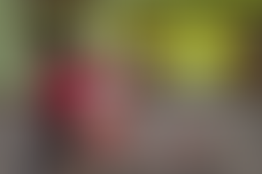 Como desenvolver o turismo na sua comunidade? Comece pelo Porquê