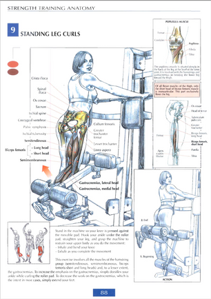 How to Properly Execute Standing Leg Curls for Maximum Results