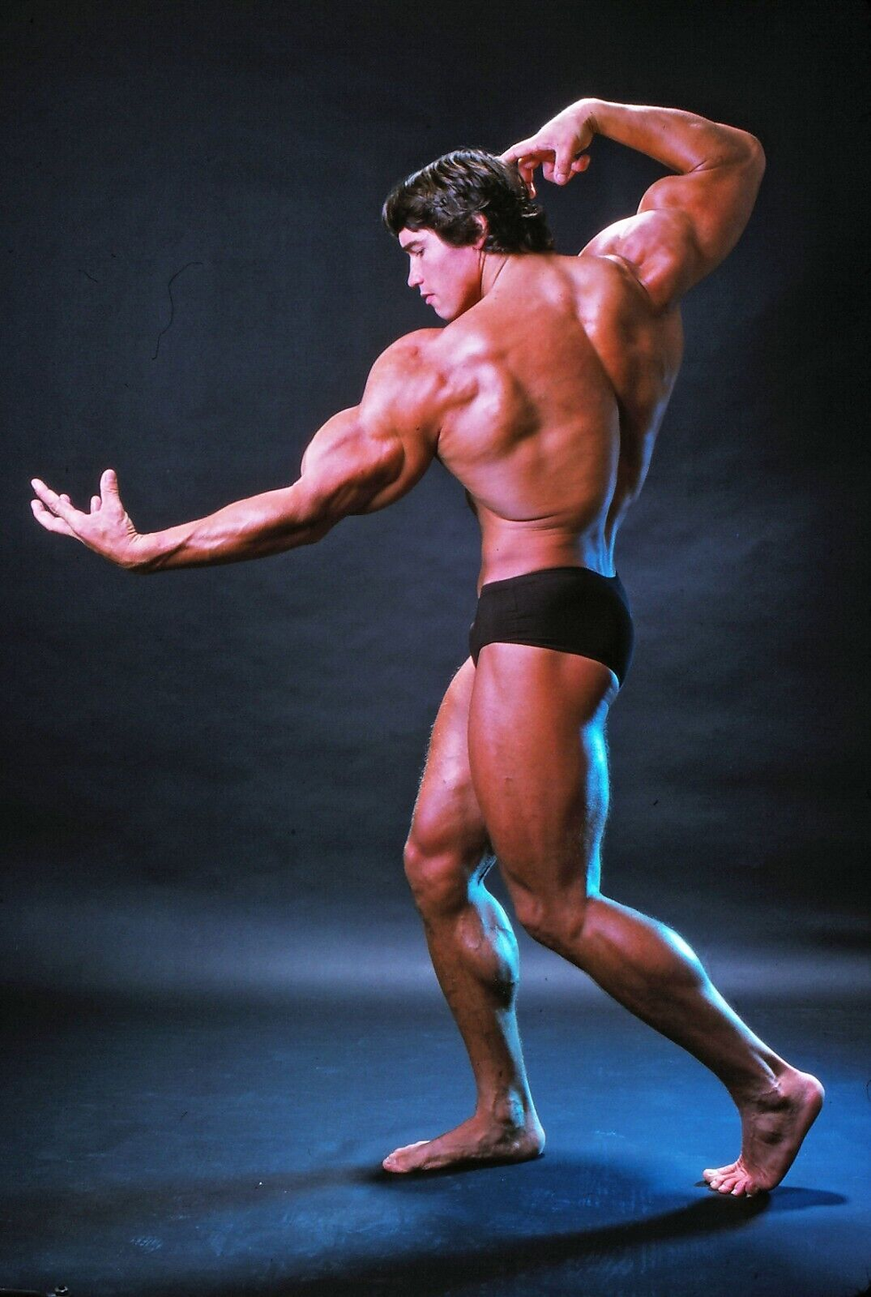 Miniatura: Arnold Schwarzenegger Bodybuilding Poster Prints Motivation Gym Posters - A5-A1
