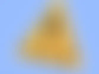 Warnung vor brancheneintrag24.com