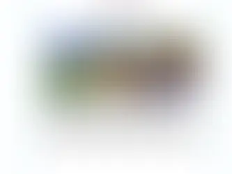 Kompensation 2021 - Verantwortung von Anfang an