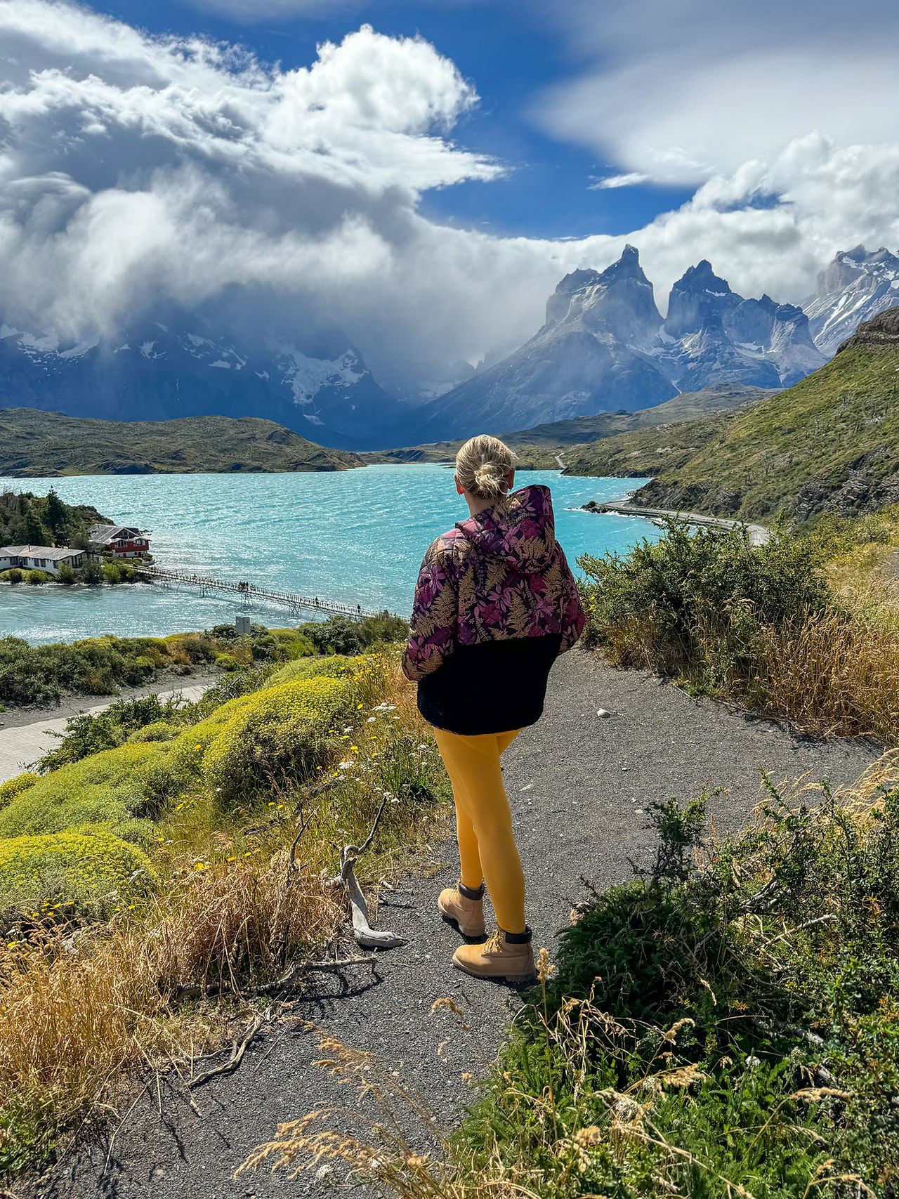 Torres del Paine