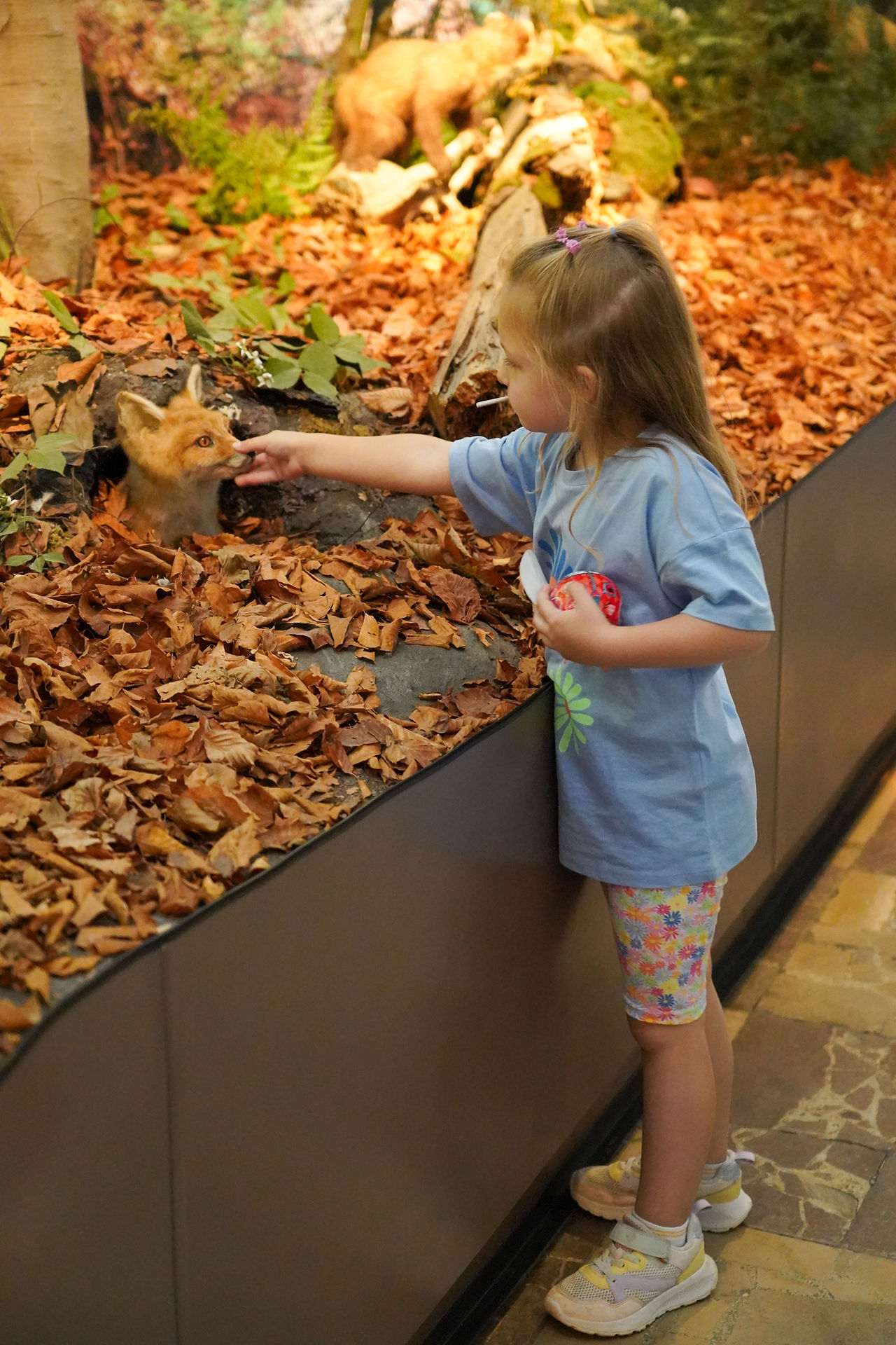 Muzeum Przyrodnicze Świętokrzyskiego Parku Narodowego