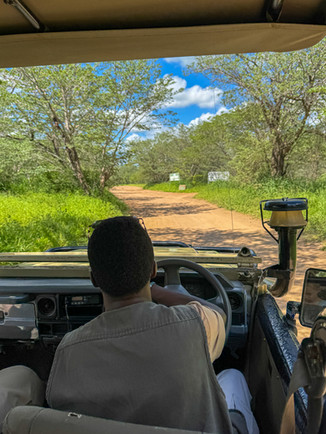 Parku Narodowym Chobe