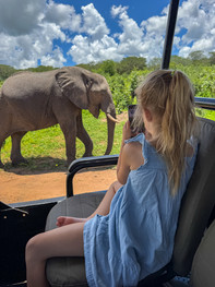 Parku Narodowym Chobe