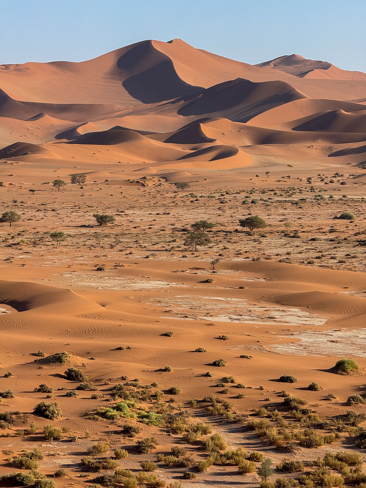 Deadvlei 