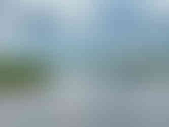 Parku Narodowym Chobe