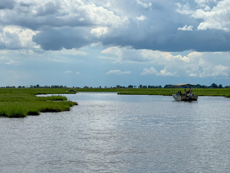 Parku Narodowym Chobe