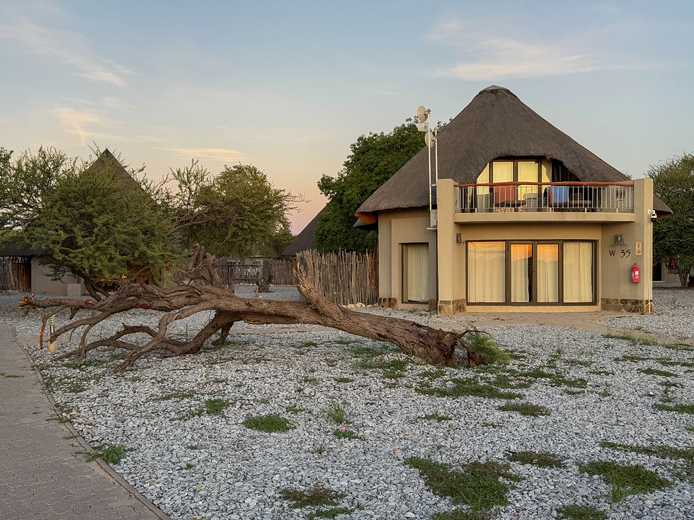 Park Narodowy Etosha