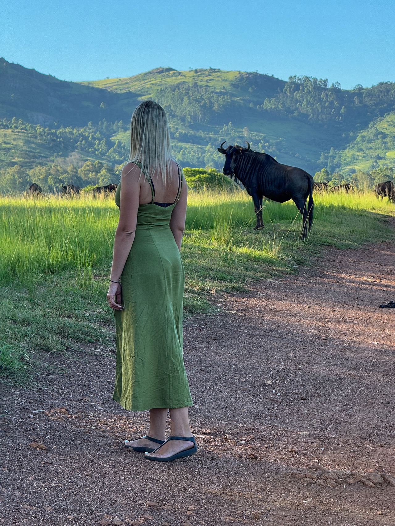 Mlilwane Wildlife Sanctuary