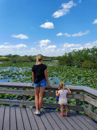 Park Narodowy Everglades