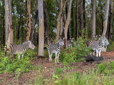 Mlilwane Wildlife Sanctuary