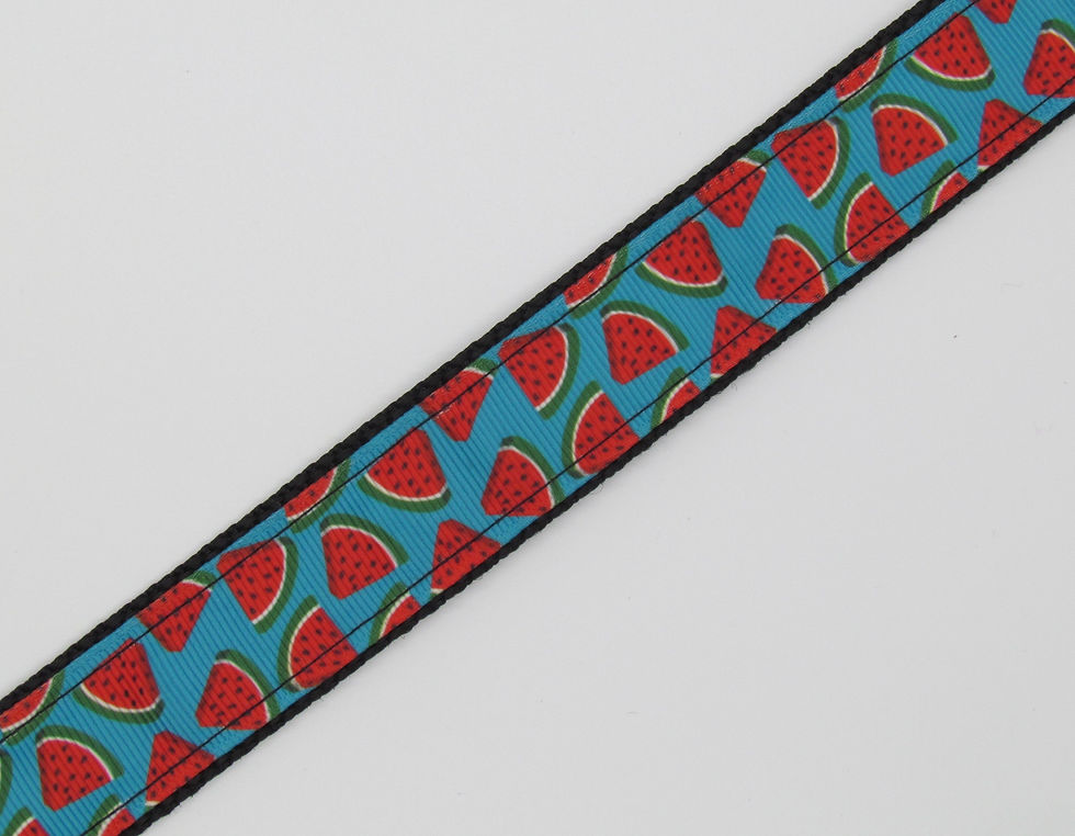 Thumbnail: Blue Watermelon Dog Collar