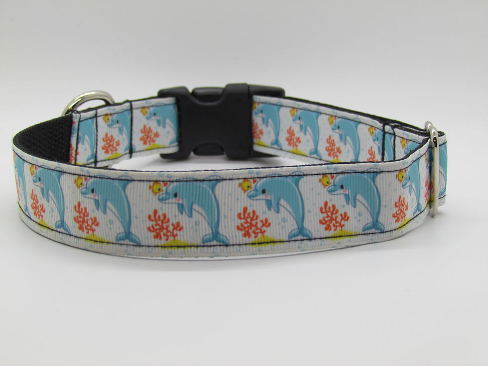 Dolphins Dog Collar